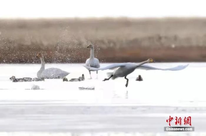 點擊進(jìn)入下一頁