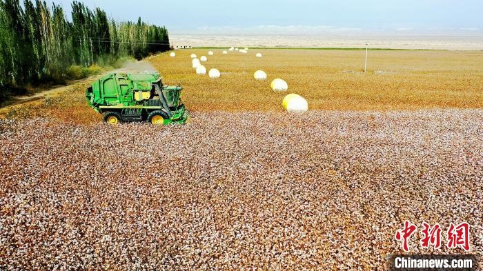 近年來，當(dāng)?shù)孛藁ǚN植戶的生產(chǎn)生活發(fā)生了翻天覆地的變化?！《?攝