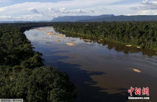 資料圖：亞馬孫雨林內(nèi)的河流。