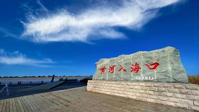 △黃河入?？谖挥谏綎|東營市墾利區(qū)。(總臺央視記者彭漢明拍攝)