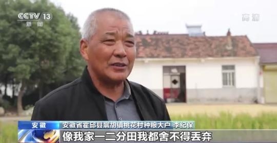 十八連豐！秋收近九成 我國(guó)糧食產(chǎn)能穩(wěn)步提升