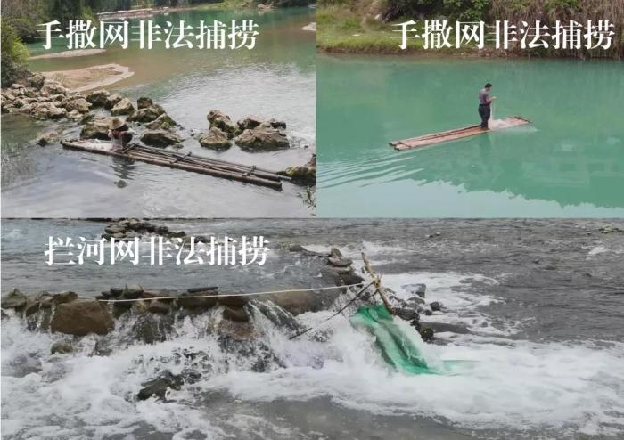 2021年9—10月，前期暗查發(fā)現(xiàn)，保護(hù)區(qū)核心區(qū)內(nèi)非法捕撈行為十分猖獗