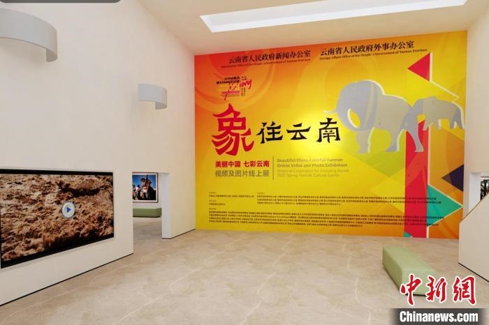 圖為“象”往云南——美麗中國(guó) 七彩云南視頻及圖片線上展截圖。　胡遠(yuǎn)航 攝