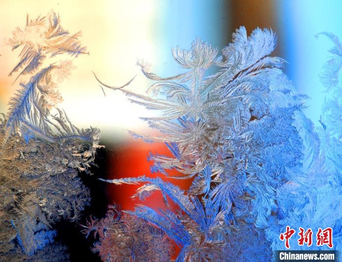 冰窗花千姿百態(tài)?！O書程 攝