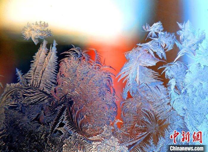 惟妙惟肖的冰窗花，似一幅風(fēng)景畫?！O書程 攝