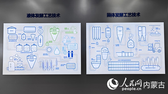 科拓生物工藝技術展示。人民網(wǎng)記者 張雪冬攝
