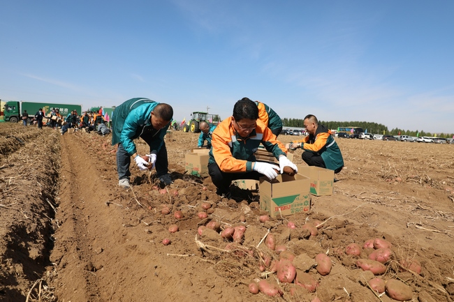 1600599996160713.jpg 7O5A5811.JPG