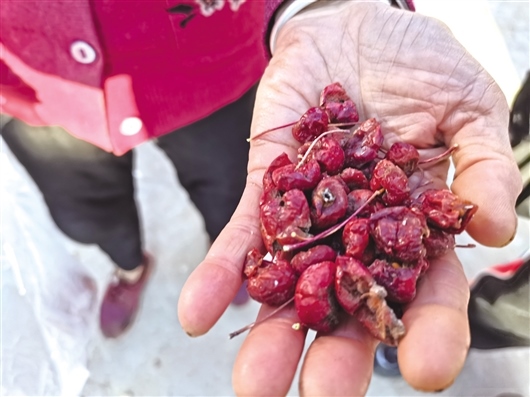 1608194516401391.jpg res01_attpic_brief.jpg