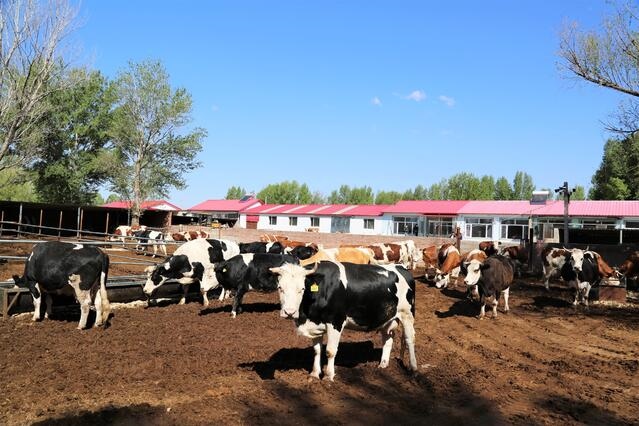 1652668912101830.jpeg de97020207bb25764a5e20df619578fb.jpeg