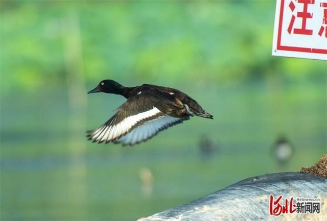 1660028540584328.jpg W020220808548511878224.jpg