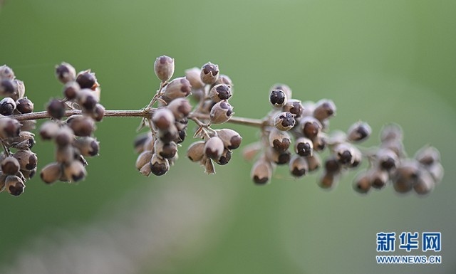 1662607658649478.jpg 00300584750_d48eaafb.jpg