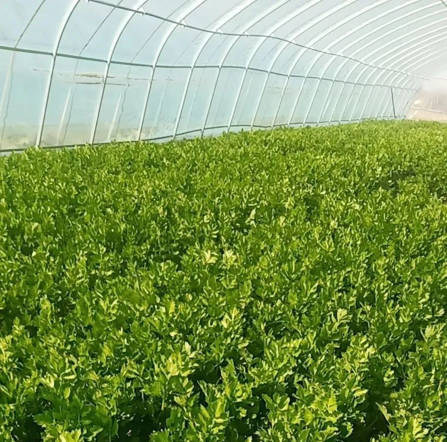 1666518504815151.jpg 微信圖片_20221023174530.jpg