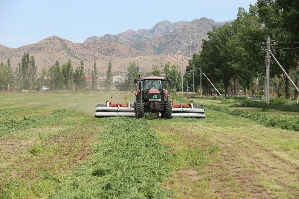 1685849156103315.jpg 7O5A5839.JPG