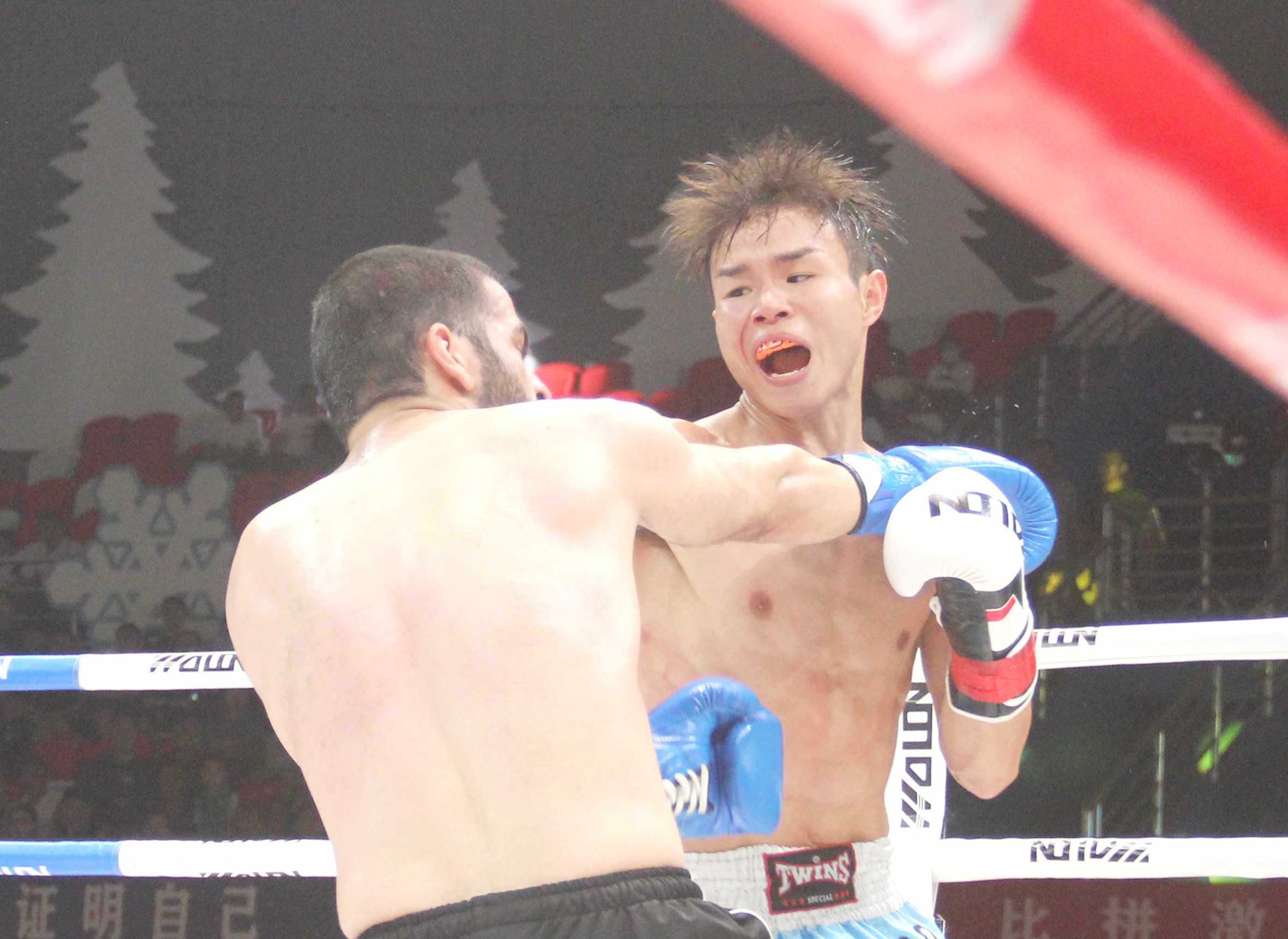 1690114439355829.jpeg 1690114439355829.jpeg