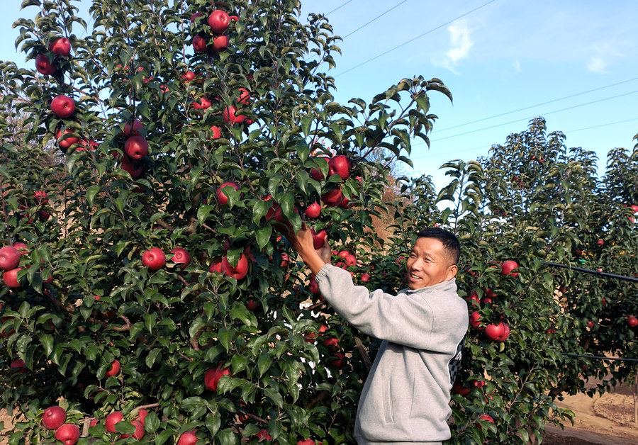 1697712023821347.jpg 微信圖片_20231019183818.jpg