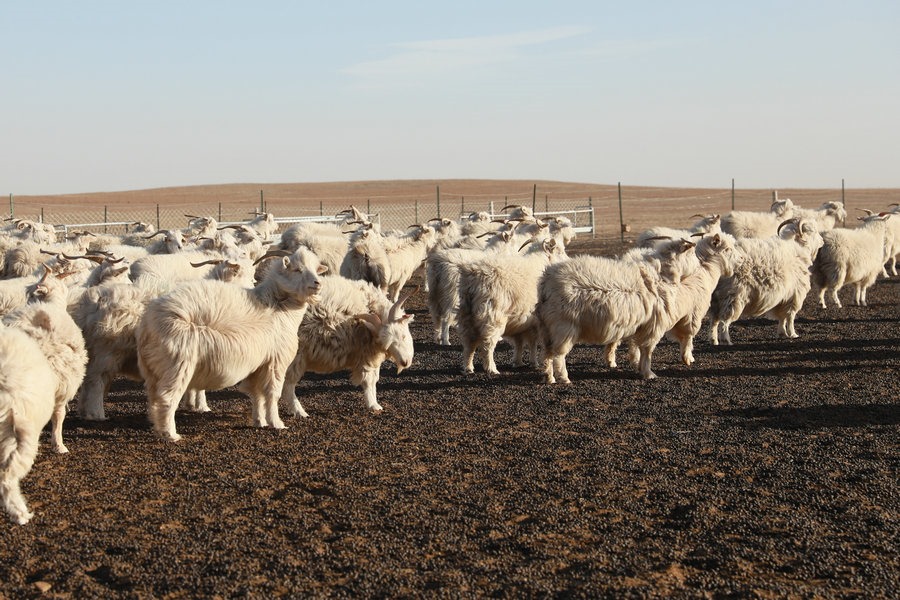 1702311408913048.jpg 7O5A9453.JPG