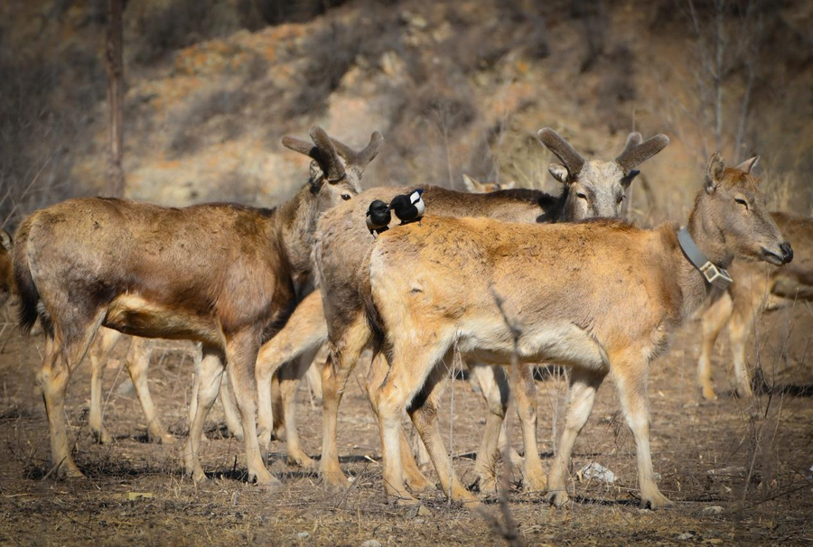 1740123096103280.png 圖片2.png