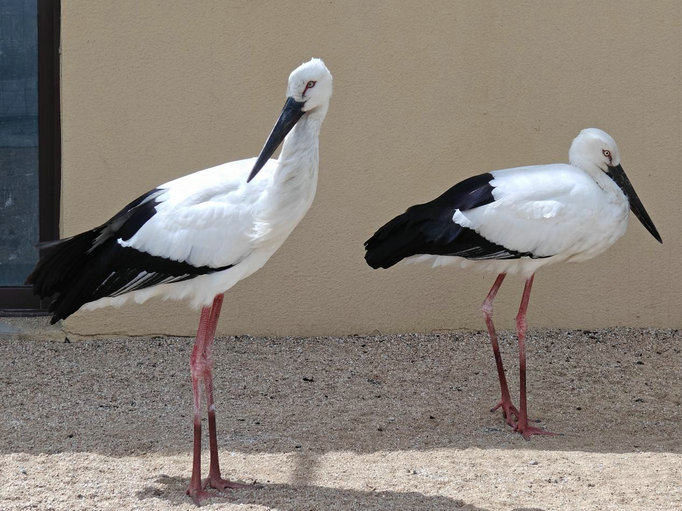 1744852581681623.jpg 東營(yíng)4.jpg