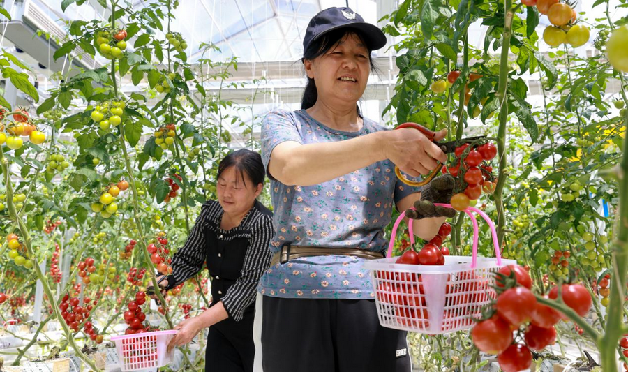 1747365550108857.png 01e87609dc7bf9a79d080c384c81fa53.png