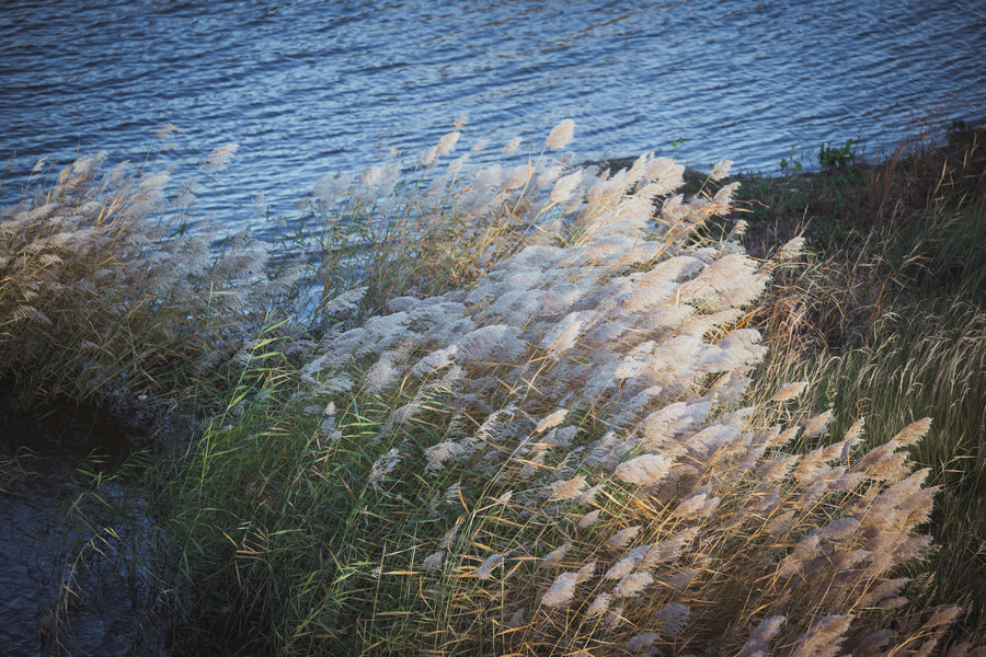 1757061180551194.jpg 微信圖片_20241022095432.jpg