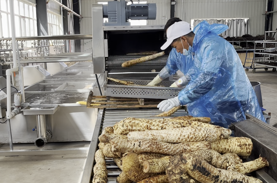 1757776729814376.png 圖片17.png