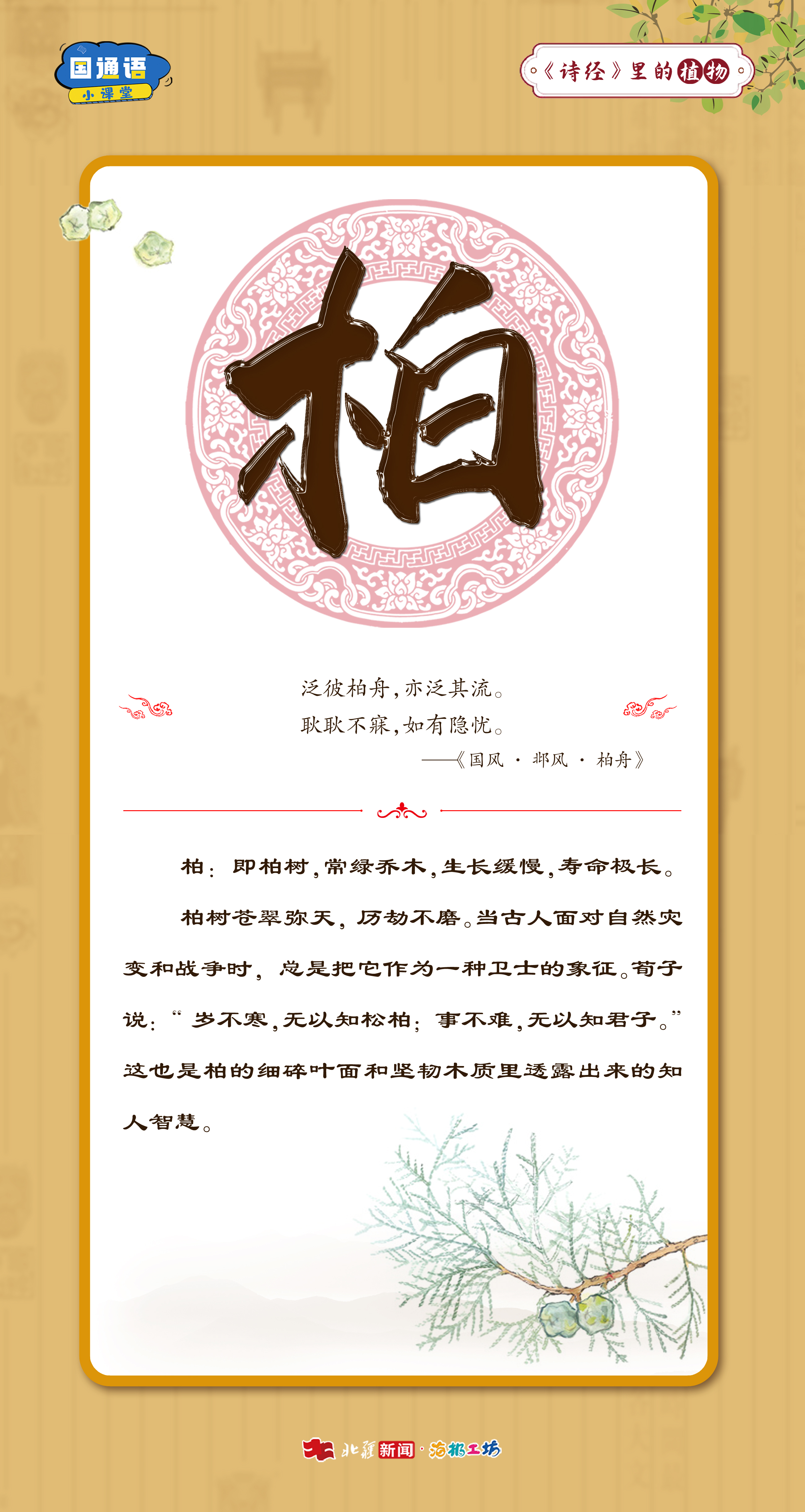 1765975504733691.jpg 12.16詩(shī)經(jīng)里的植物5.jpg