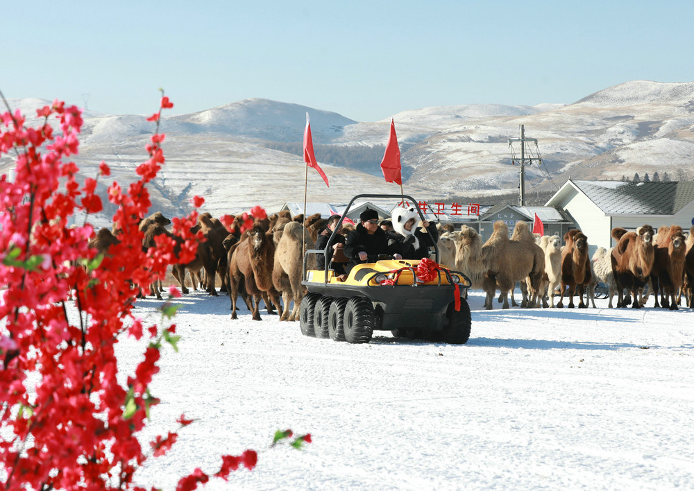 1766910343920449.jpg 7O5A0904.jpg