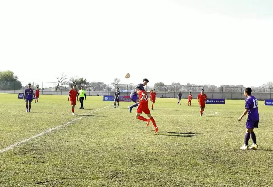 1768210788228713.jpg 1768209146878493.jpg