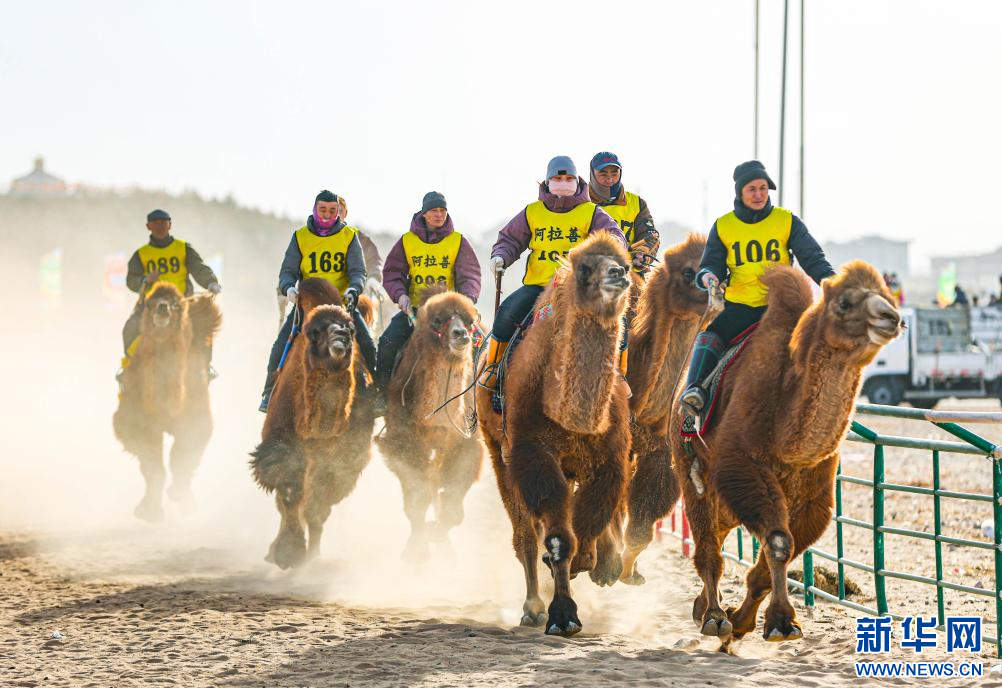 3月7日，賽駝手在6000米成年駱駝場(chǎng)地速度賽比賽中。.jpg