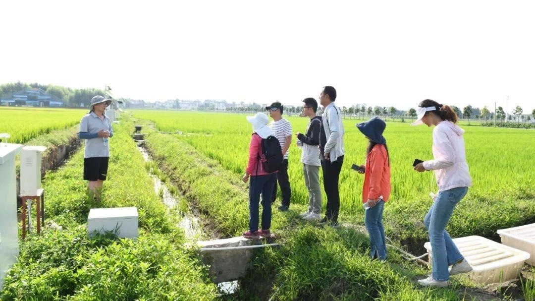 △云南大理古生村科技小院成員在田間調(diào)查。