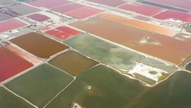 鑒往知來，跟著總書記學(xué)歷史丨走進(jìn)一座博物館，尋根五千年中華文明