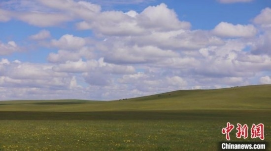 圖為點(diǎn)點(diǎn)新綠在原野上蓄勢待發(fā)。 歐戈 攝