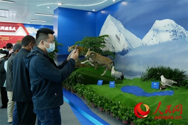 6月17日，觀眾正在觀展。人民網(wǎng) 韋衍行攝