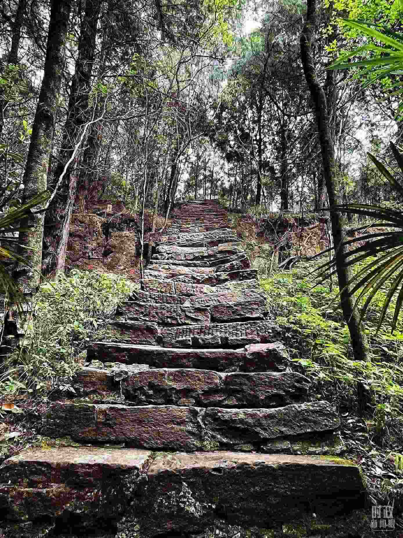 △古蜀道。（總臺央視記者郭曉龍拍攝）