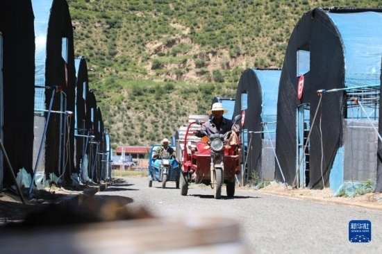 7月29日，農(nóng)戶在卓尼縣納浪鎮(zhèn)納浪村黑木耳種植基地勞作。