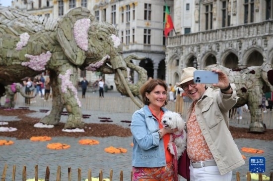 8月11日，觀眾在比利時(shí)布魯塞爾“鮮花時(shí)光”展覽上拍照。新華社記者 趙丁喆攝