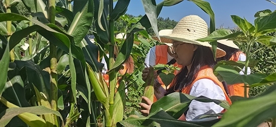 北京工商大學(xué)組織學(xué)生開展暑期社會(huì)實(shí)踐。學(xué)校供圖