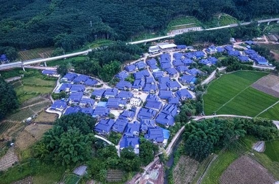 磨憨鎮(zhèn)曼莊村大龍哈小組現(xiàn)代化邊境幸福村新貌。人民網(wǎng)記者 符皓攝