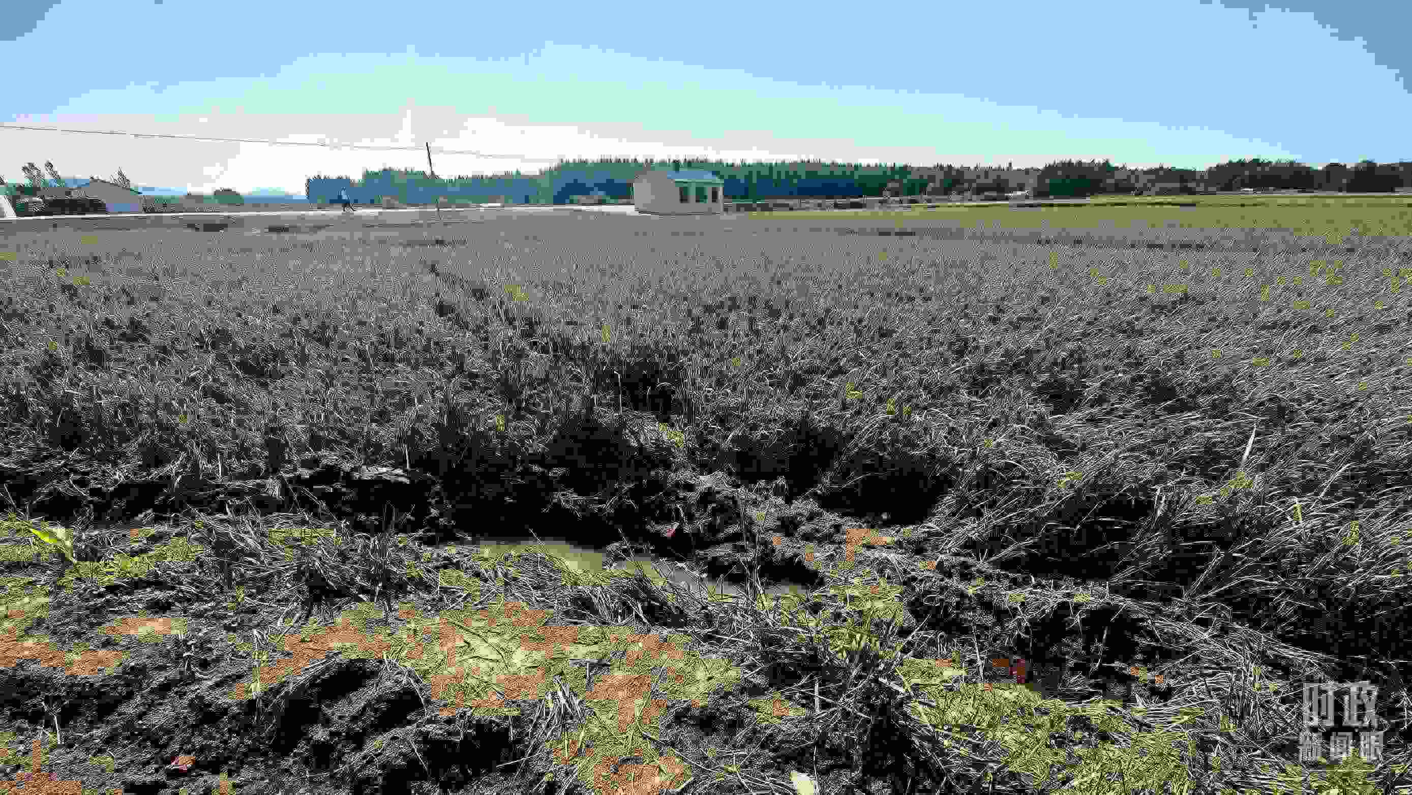 △圖為龍王廟村在洪災(zāi)中受損的農(nóng)田。（總臺央視記者史偉拍攝）