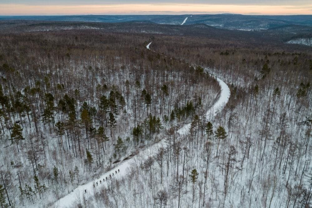 △2023年1月，漠河林場(chǎng)數(shù)十名職工自發(fā)組成的森林撫育隊(duì)伍，在人跡罕至的山林中作業(yè)。