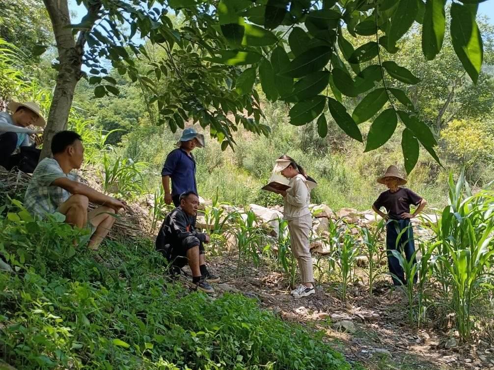 2023年7月18日，兩家村民發(fā)生土地方面的糾紛，李江女（右二）在記錄情況。受訪者供圖