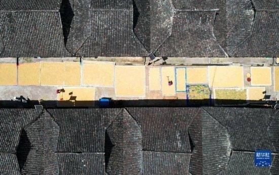 9月16日，在貴州省黔東南苗族侗族自治州從江縣加勉鄉(xiāng)污扣村，村民在晾曬稻谷（無人機(jī)照片）。