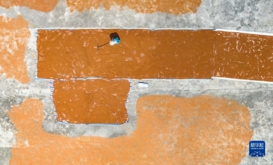 9月16日，農(nóng)民在貴州省安順市西秀區(qū)大西橋鎮(zhèn)吉昌村晾曬高粱（無人機(jī)照片）。