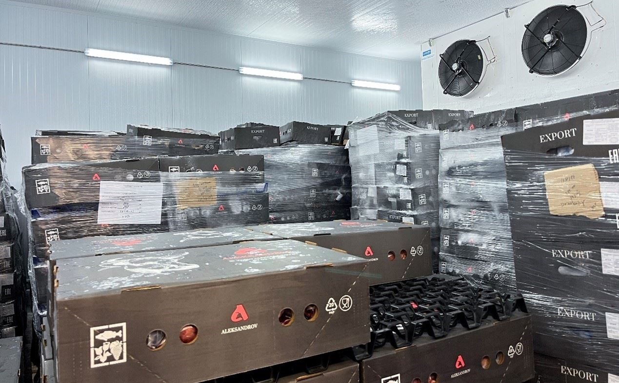 恒溫冷庫中，包裝好的牛肉等待發(fā)往中國。人民網(wǎng)記者 朱虹攝