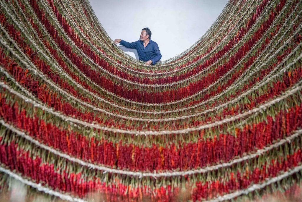 在貴州省畢節(jié)市大方縣理化鄉(xiāng)金雞村，村民查看辣椒烘干情況。新華社發(fā) 羅大富攝