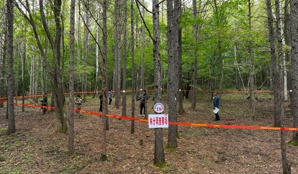 競(jìng)賽現(xiàn)場(chǎng)。圖片來(lái)源：國(guó)家林業(yè)和草原局