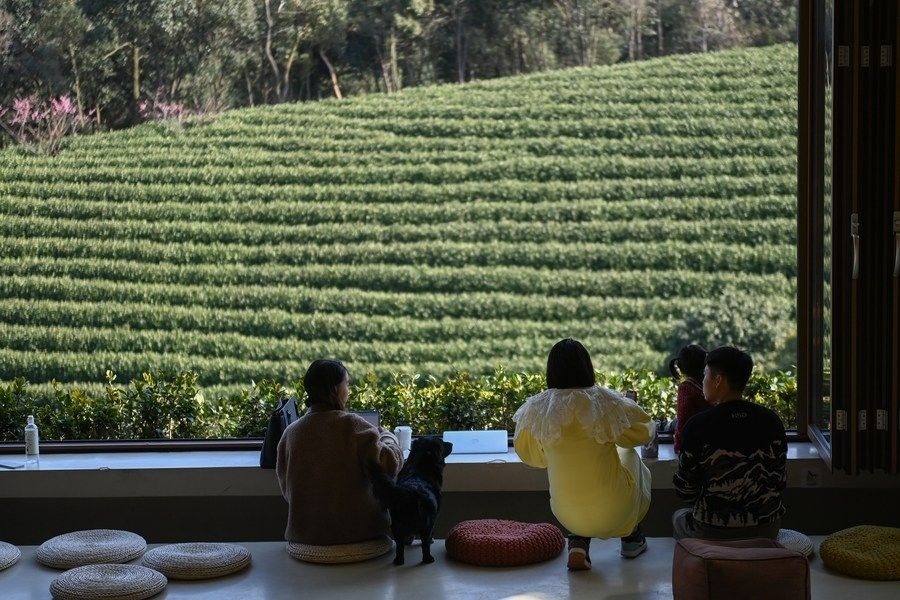 游客在浙江省安吉縣黃杜村萬畝茶園邊的咖啡館休閑（2023年2月21日攝）。