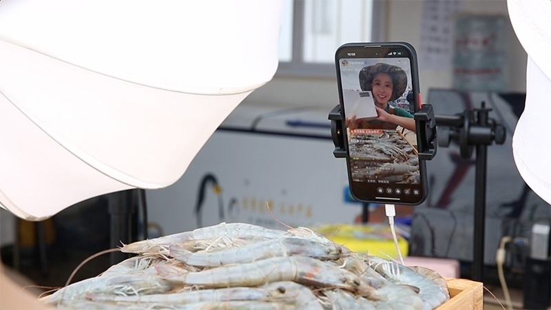 江蘇連云港，村民進(jìn)行直播銷售。范堯攝