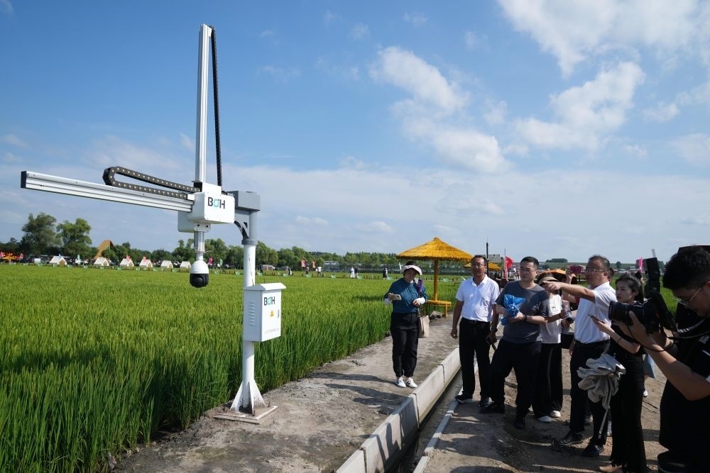 在北大荒集團閆家崗農(nóng)場有限公司農(nóng)業(yè)現(xiàn)代化示范區(qū)，工作人員在介紹利用數(shù)字技術(shù)的葉齡診斷儀（2023年8月10日攝）。新華社記者 王建威 攝
