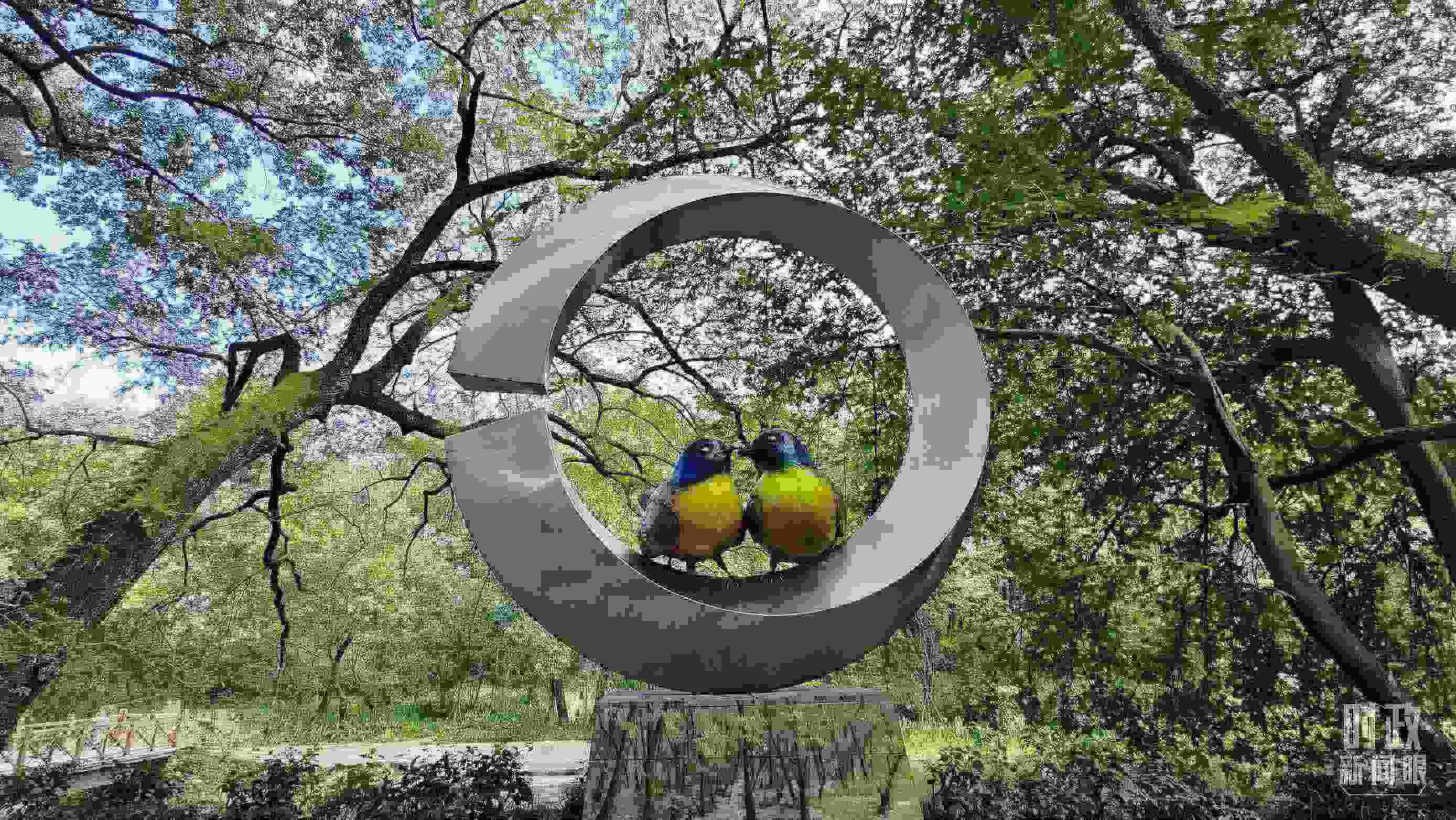 △石門村里的藍冠噪鹛雕像。（總臺央視記者許永松拍攝）